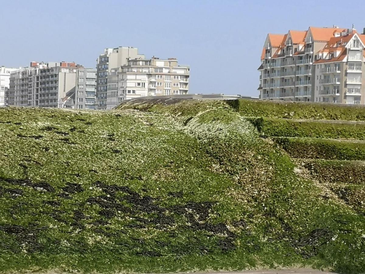 Westeinders Sea View Middelkerke Dış mekan fotoğraf